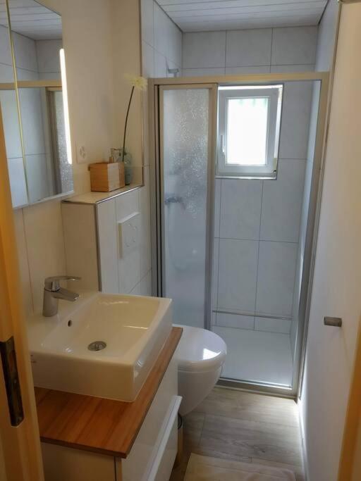 Bijou 1 Huebsche 1 Zimmer Wohnung Herisau Luaran gambar